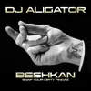 About Beshkan (Snap Your Dirty Fingaz) Song