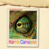 About Karma Camaleón Song