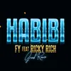 About Habibi (feat. Ricky Rich) [Greek Remix] Song