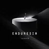 Enduresin