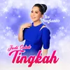 About Jadi Salah Tingkah Song