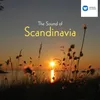 Serenade for Strings, Op. 11: IV. Marcia