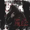 About SAM JAK PALEC Song