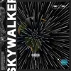 About Skywalker (feat. Jordon Wi-Fi, Reezy Rye & Trigga ) Song