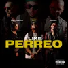 About I Like Perreo Song