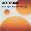About Never Again (feat. Lilly Ahlberg) Song