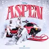 About Aspen Song