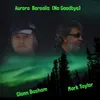 About Aurora Borealis (No Goodbye) Song