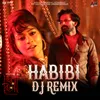 About Habibi Habibi (DJ Remix) Song