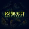 Käärmeet