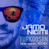 About Turkoosiin (Blue Waves Remix) Song