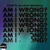 About Am I Wrong? Song