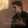 About Voy a Extrañarte Song