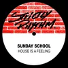 House Is a Feeling (Remix '96)