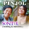 About Pinjol Song