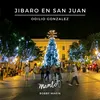 About Jibaro En San Juan Song