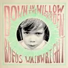 About Down in the Willow Garden (feat. Brandi Carlile) Song