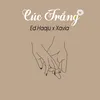 About Cúc Trắng Song