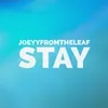 Stay