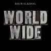 About Worldwide Song