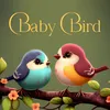 About Baby bird Song