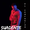 Suadente