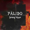 About Pálido Song