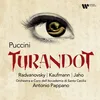 Turandot, Act 3: "Arbitra son del tuo destino" (Turandot, Calaf, Coro)