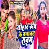 About Tohar Roop Ke Banawat Sanam Song