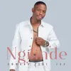 Ngilinde (feat. Ze2)