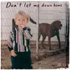 About Don't Let Me Down Home Song