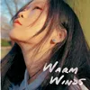 Warm Winds (feat. Walter Kwan)