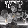 About Te Extraño a Lo Vio (feat. El Rey & Gringuitos Records) Song