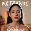 About Extraños Song