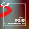 About Goodbye (feat. Stevie Appleton) Song