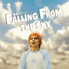 About FALLING FROM THE SKY Song