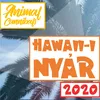 About Hawaii-i nyár 2020 Song