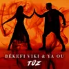 About TŰZ Song