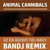 Az én ágyam túl nagy (Bandj Remix)