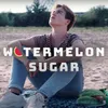 About Watermelon Sugar Song