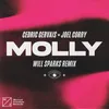 About MOLLY (Will Sparks Remix) Song