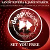 Set You Free (feat. Alexis Victoria Hall, Zetaphunk & Yvvan Back) [Instrumental]