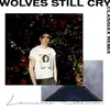 About Wolves Still Cry (Classixx Remix) Song