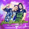 About Ikan Dalam Kolam (feat. Delva) Song