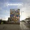 Feel the Love (feat. John Newman) (Rudimental VIP)