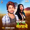 About Purva Satave Song