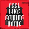 About Feel Like Coming Home Song