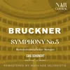 Symphony No. 5 in B-Flat Major, WAB 105, IAB 112: I. Introduktion: Adagio - Allegro