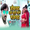 About Jobanwa Dhake Suti Gaile Sajanwa Song