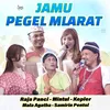 About Jamu Pegel Mlarat Song